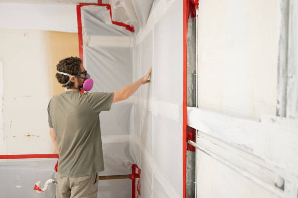 Best Mold-Related Health Consultation  in Manhasset, NY