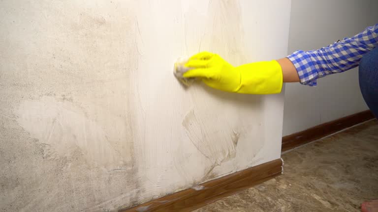 Best Real Estate Mold Inspection  in Manhasset, NY